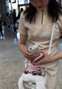 【TIMCOB】⭐CD原创⭐漫展2部合集！蕾姆小姐姐和旗袍伴舞！[292M]