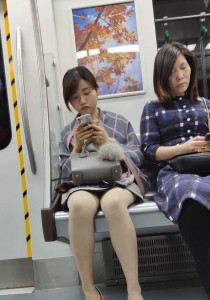 4K无水印性感美腿视频[318MB]